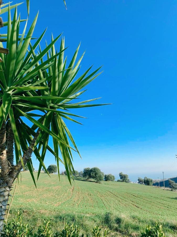 Locanda Zona Franca San Benedetto del Tronto Exteriér fotografie